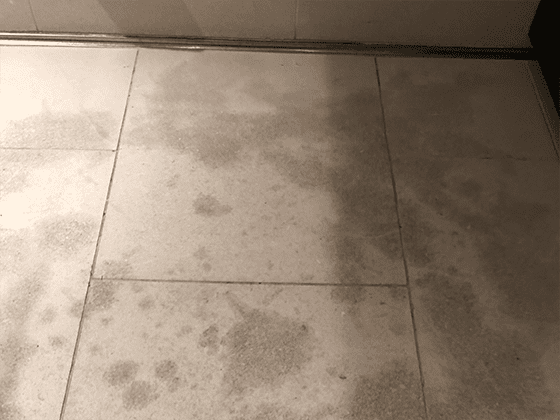 Limestone Etch Repair - Santa Fe Floor Care