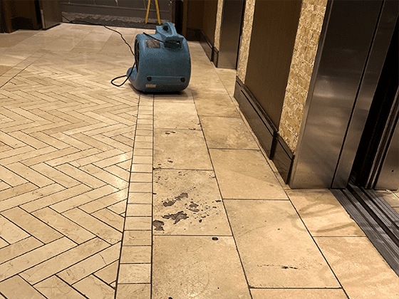 Commercial Travertine Floor Restored - Santa Fe Floor Care