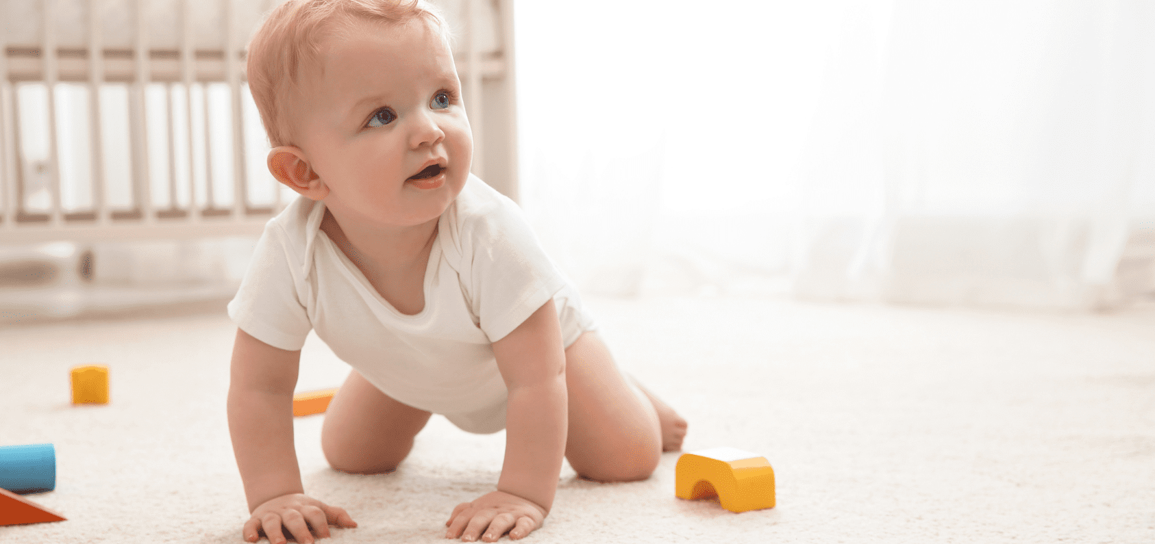 Carpet Stretching - Santa Fe Floor Care